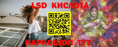 СК Владивосток