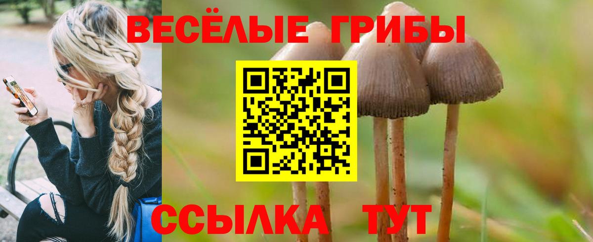 Галлюциногенные грибы мухоморы Родники